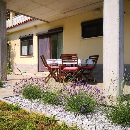 Solmar, Apartment With Big Terrace Near Nature Portoroz Exterior foto