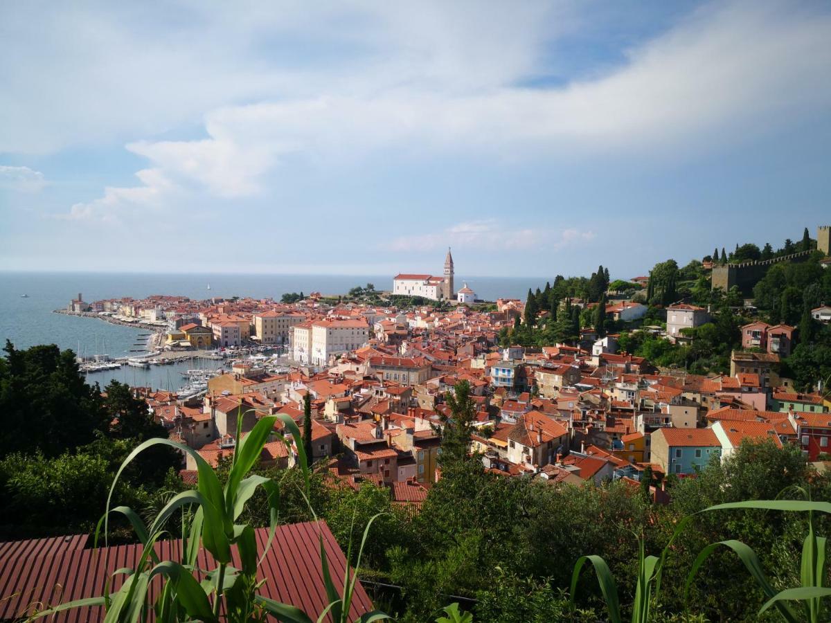Solmar, Apartment With Big Terrace Near Nature Portoroz Exterior foto