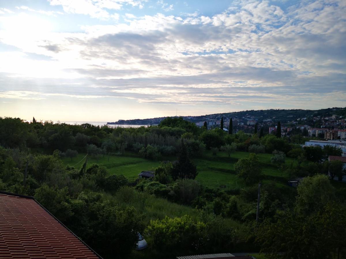 Solmar, Apartment With Big Terrace Near Nature Portoroz Exterior foto